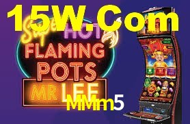 Premium Interface MMm5